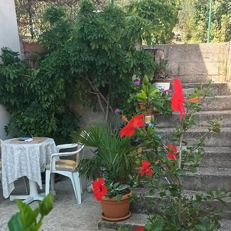 Flash Lägenhet Šibenik Exteriör bild