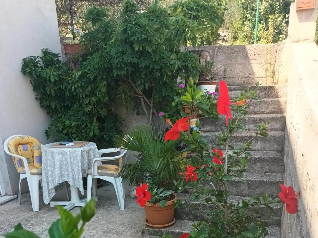 Flash Lägenhet Šibenik Exteriör bild