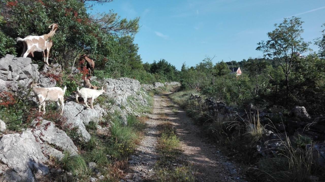 Flash Lägenhet Šibenik Exteriör bild